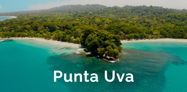 View of Punta Uva beach