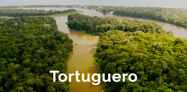 Tortuguero river