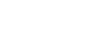 logo The hotels